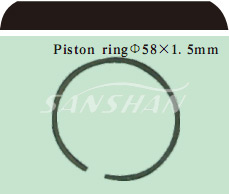Piston ring